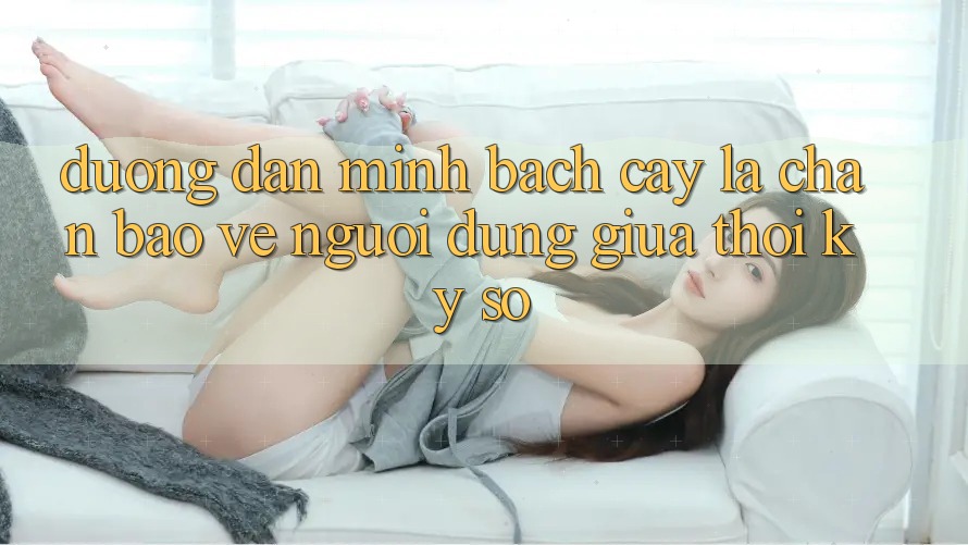 “Đường dẫn Minh bạch cậy” - Lá Chắn Bảo Vệ Người dùng Giữa Thời Kỳ Số