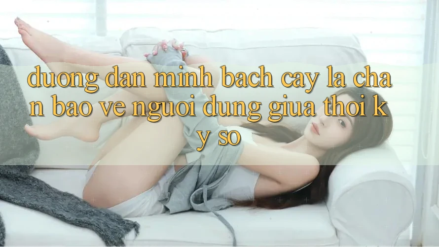 “Đường dẫn Minh bạch cậy” - Lá Chắn Bảo Vệ Người dùng Giữa Thời Kỳ Số “Đường dẫn Minh bạch cậy” - Lá Chắn Bảo Vệ Người dùng Giữa Thời Kỳ Số