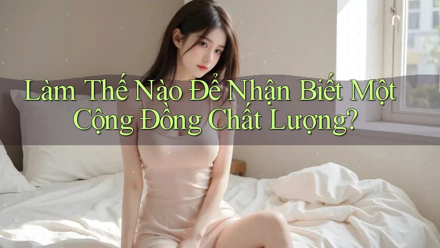 Làm Thế Nào Để Nhận Biết Một Cộng Đồng Chất Lượng?