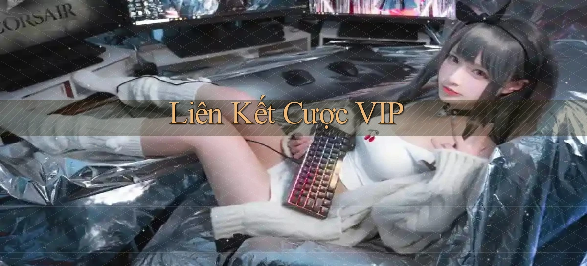 Liên kết Cược VIP