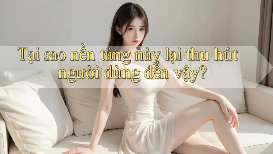 Tại sao nền tảng này lại thu hút người dùng đến vậy? Tại sao nền tảng này lại thu hút người dùng đến vậy?
