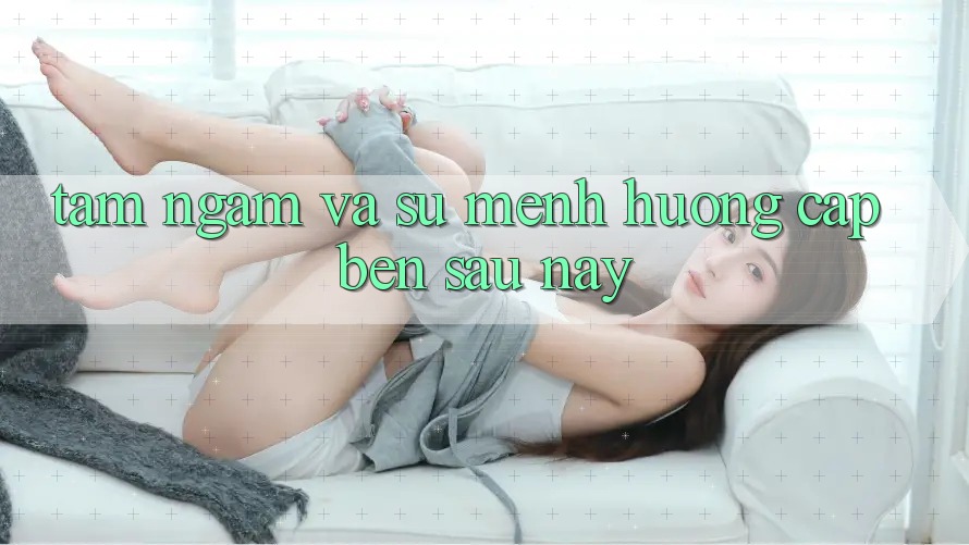 Tầm Ngắm Và Sứ Mệnh Hướng Cập bến Sau này