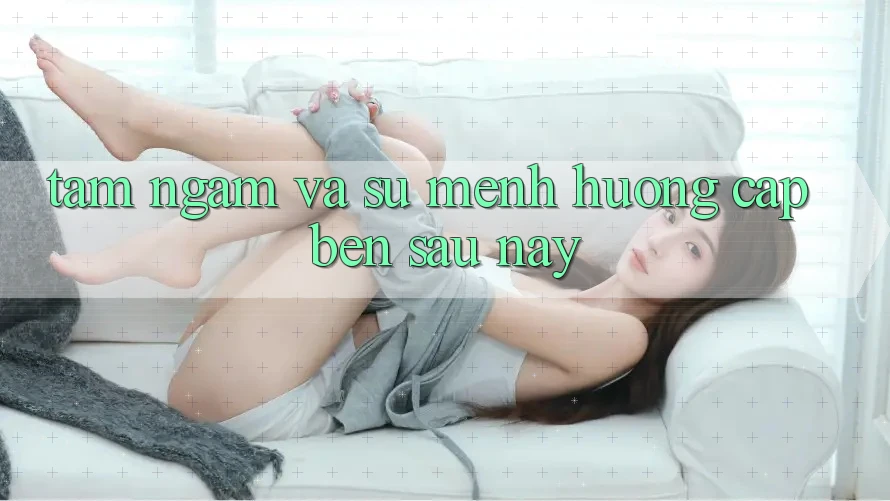 Tầm Ngắm Và Sứ Mệnh Hướng Cập bến Sau này
